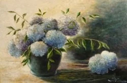 Hortensia's