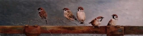 Moskjes · Verkocht