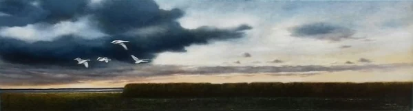 Wite swannen oer de Morra · verkocht